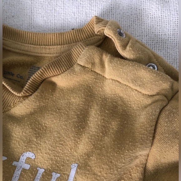 Little & Co THANKFUL Sweatshirt 6m - Picture 5 of 5